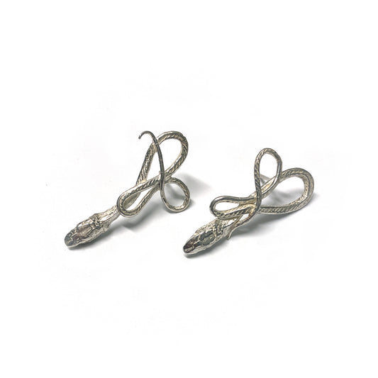 Small Bright Silver Serpentine Earrings